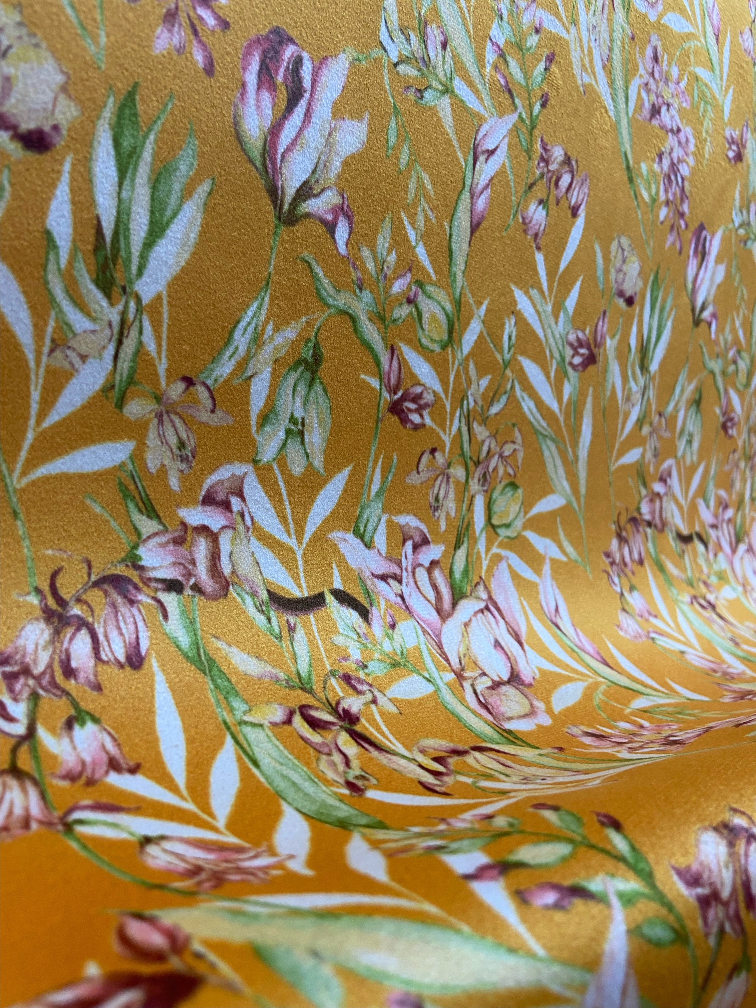 #color_orange
