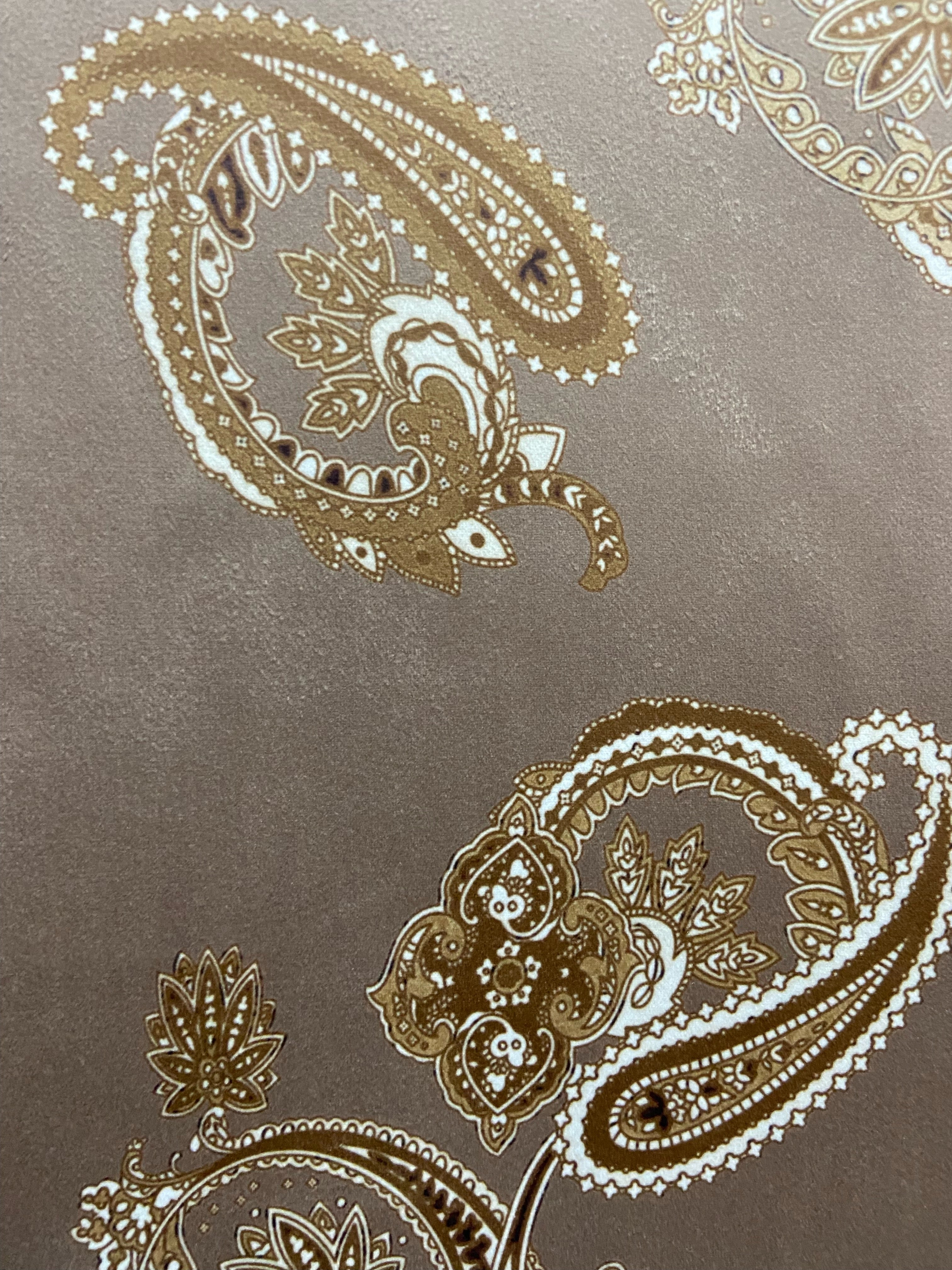 Paisley Scroll