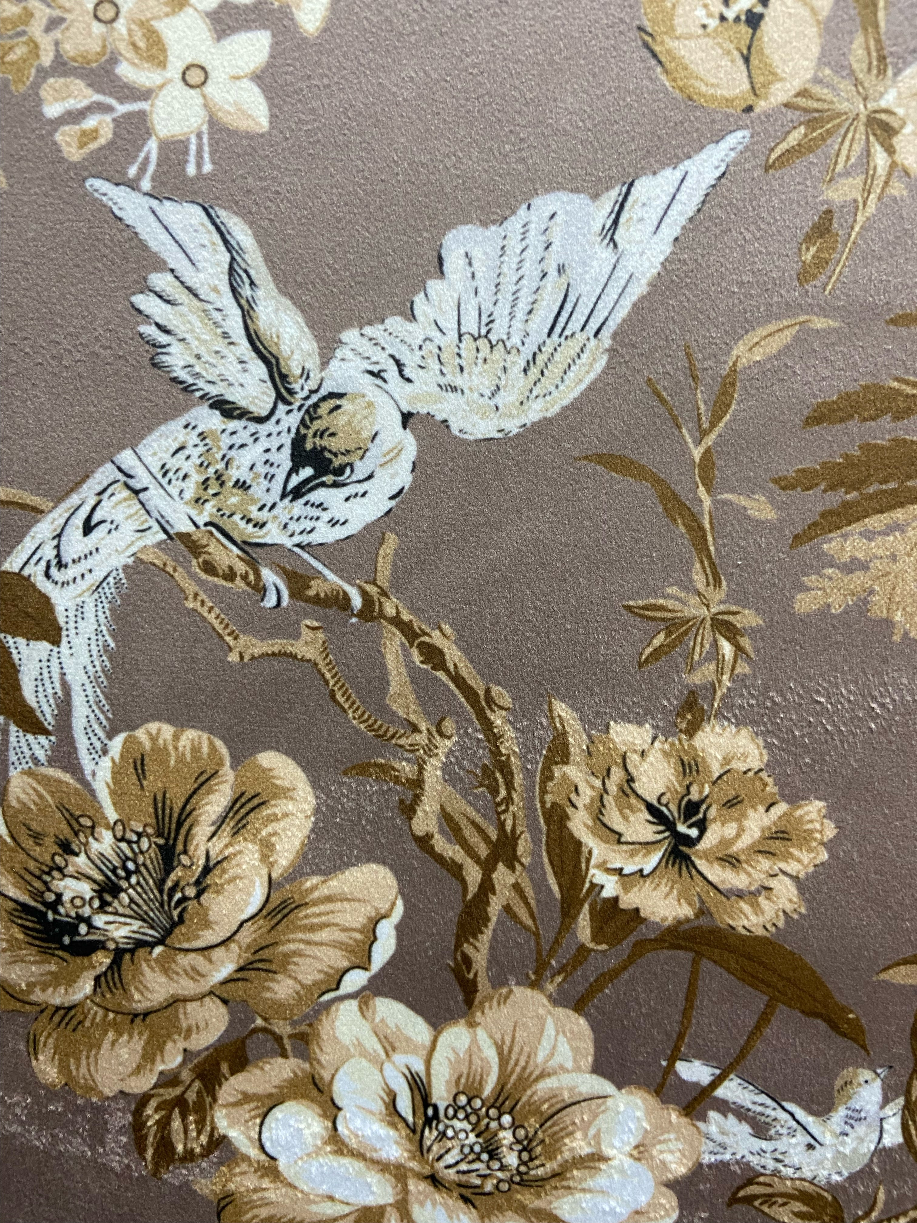 #color_tan