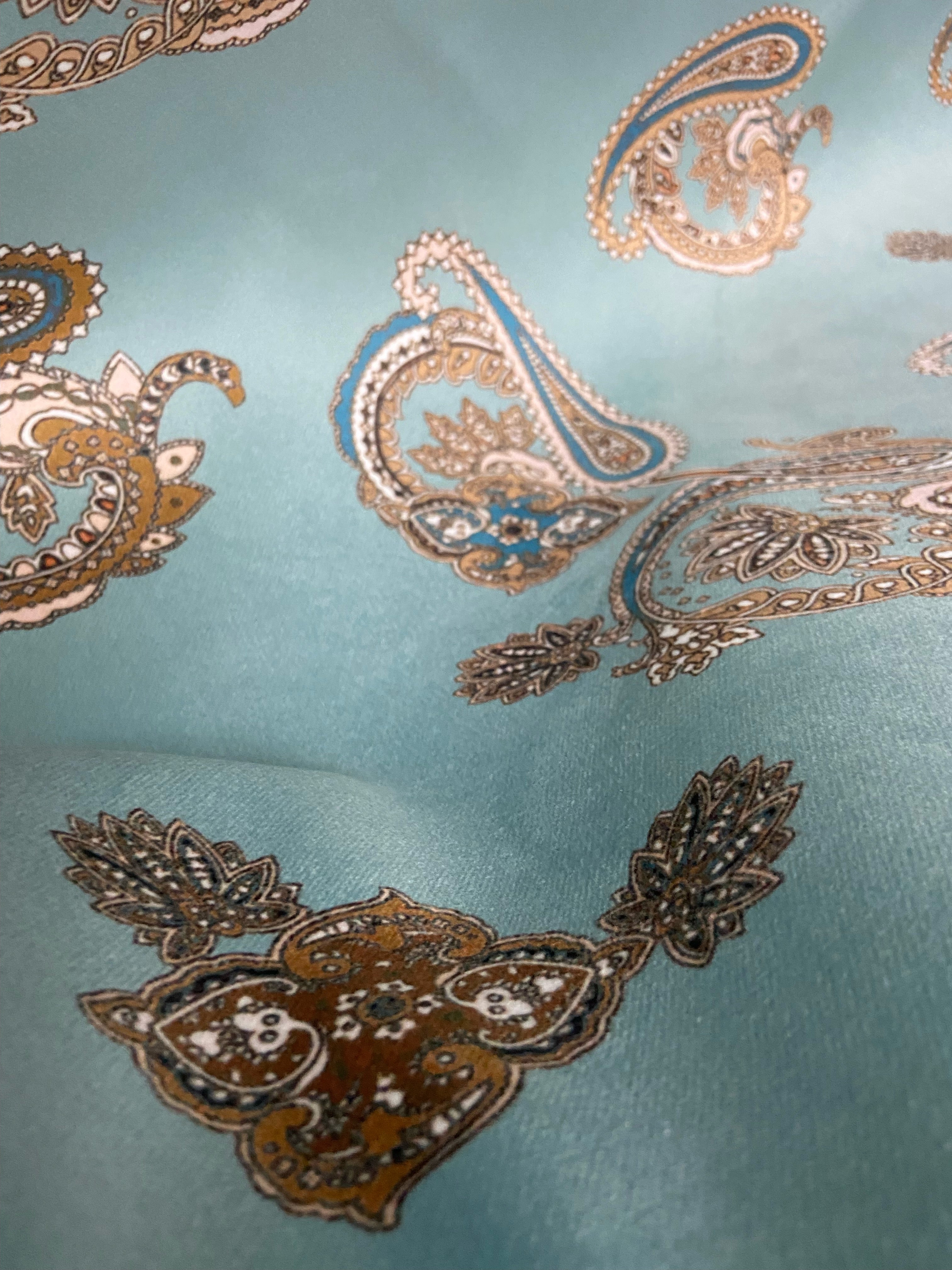 Paisley Scroll