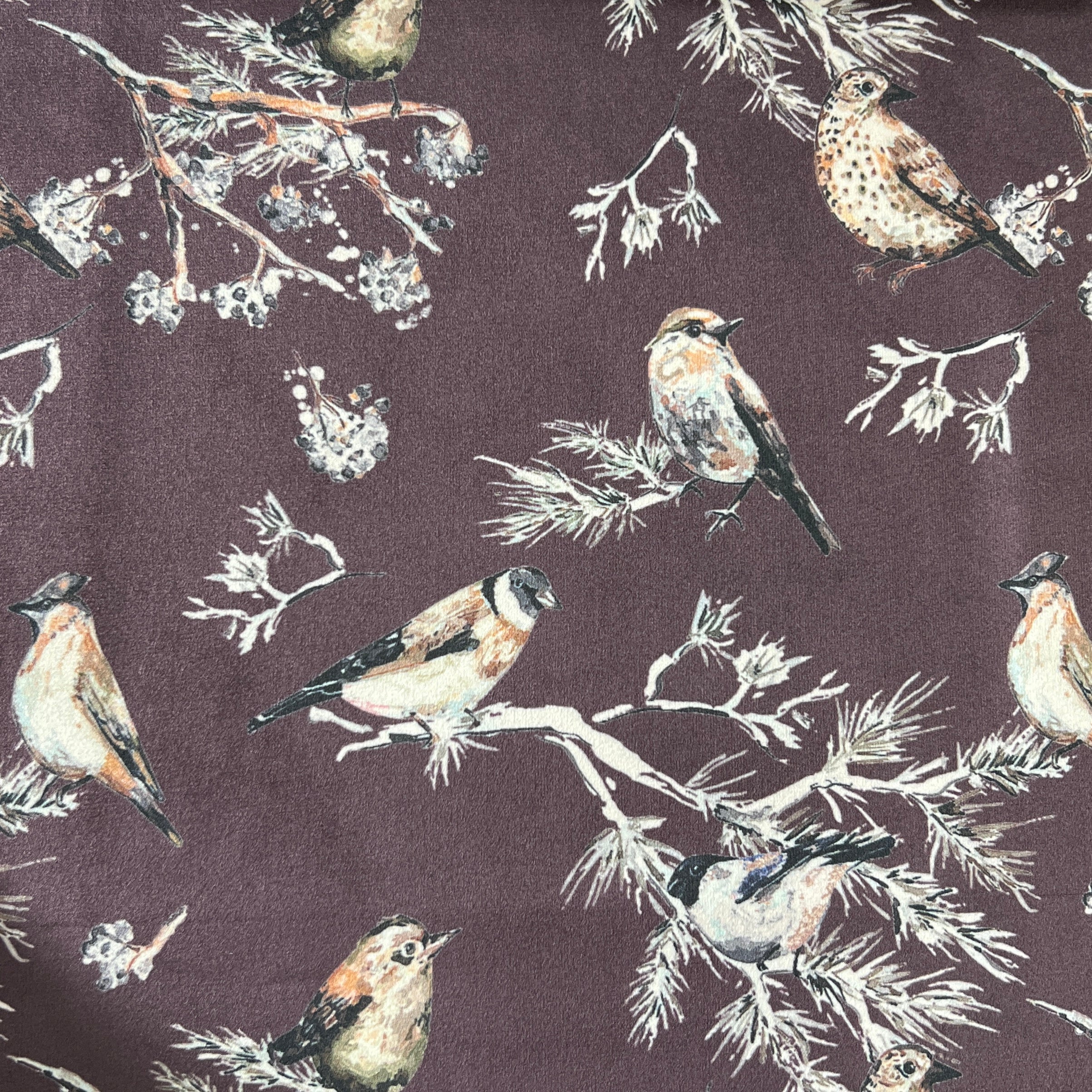 Velvet in Floral Pigeon Design – Ideal for Sofa Upholstery & Cushion Covers (Regal Aviary)
