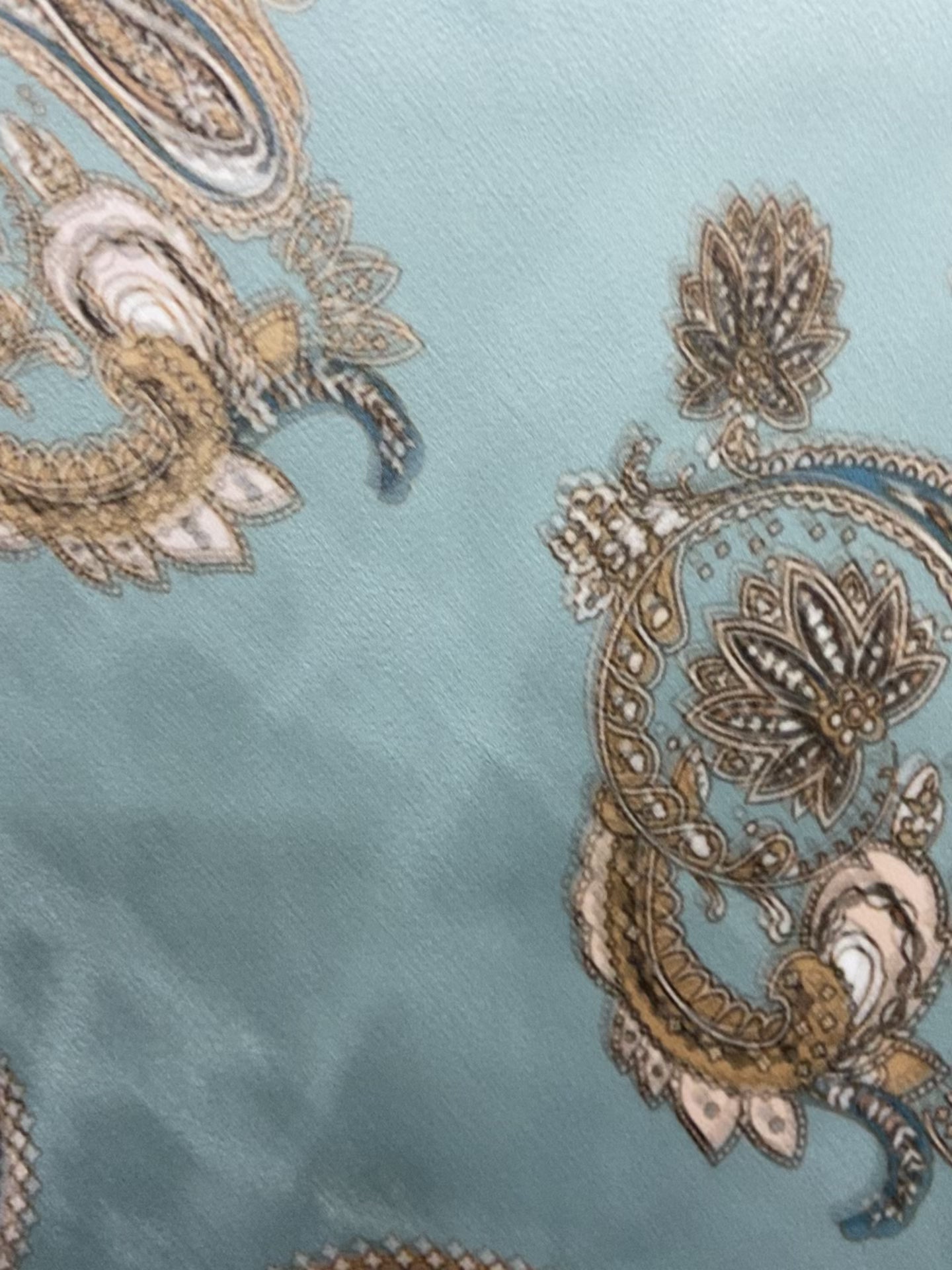 Paisley Scroll