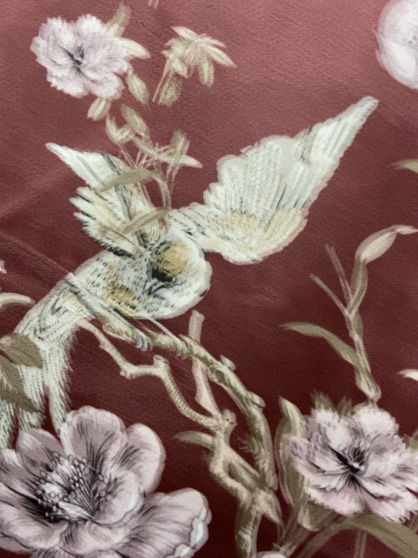 Vinecrest Sparrow
