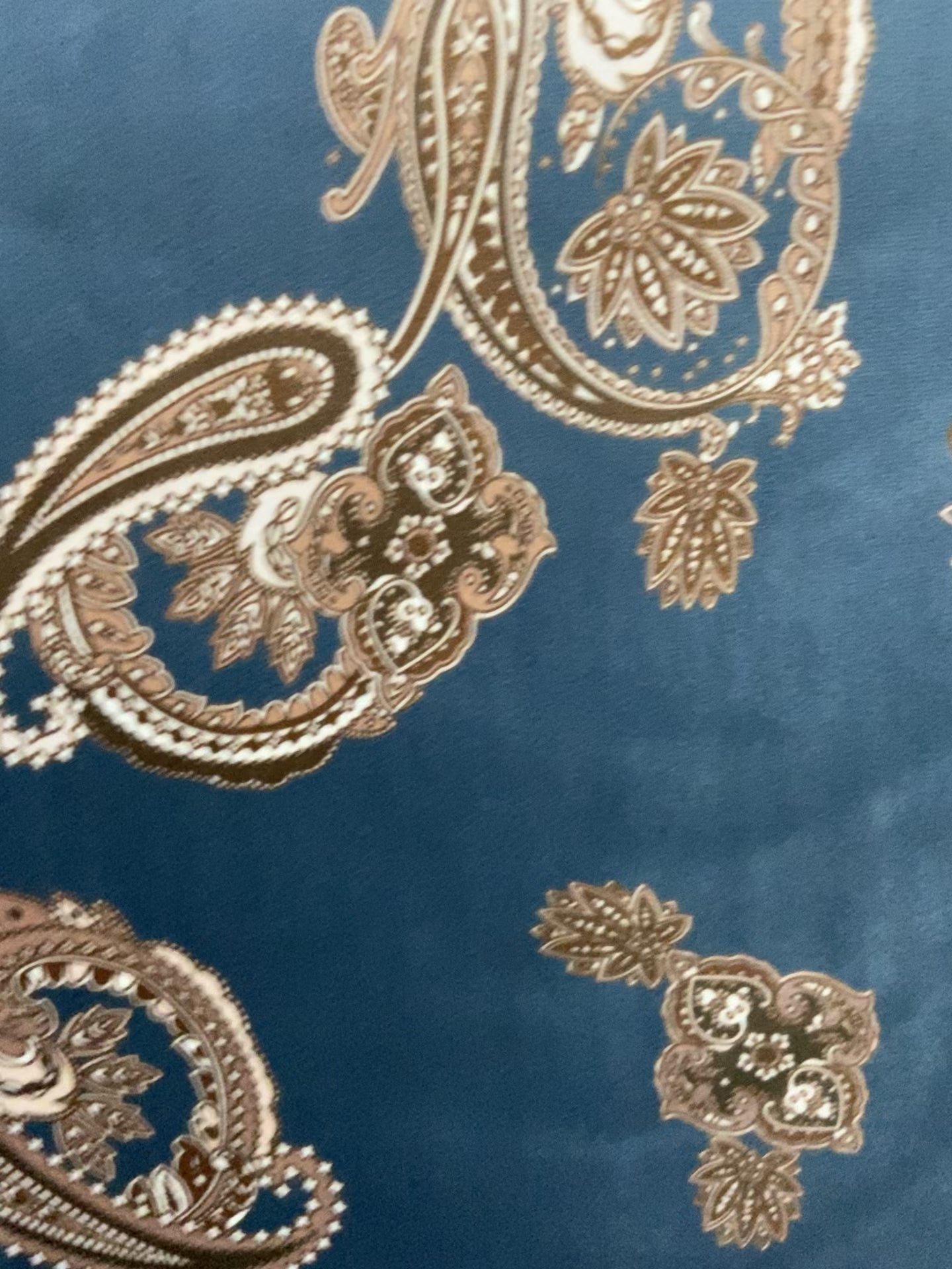 Paisley Scroll