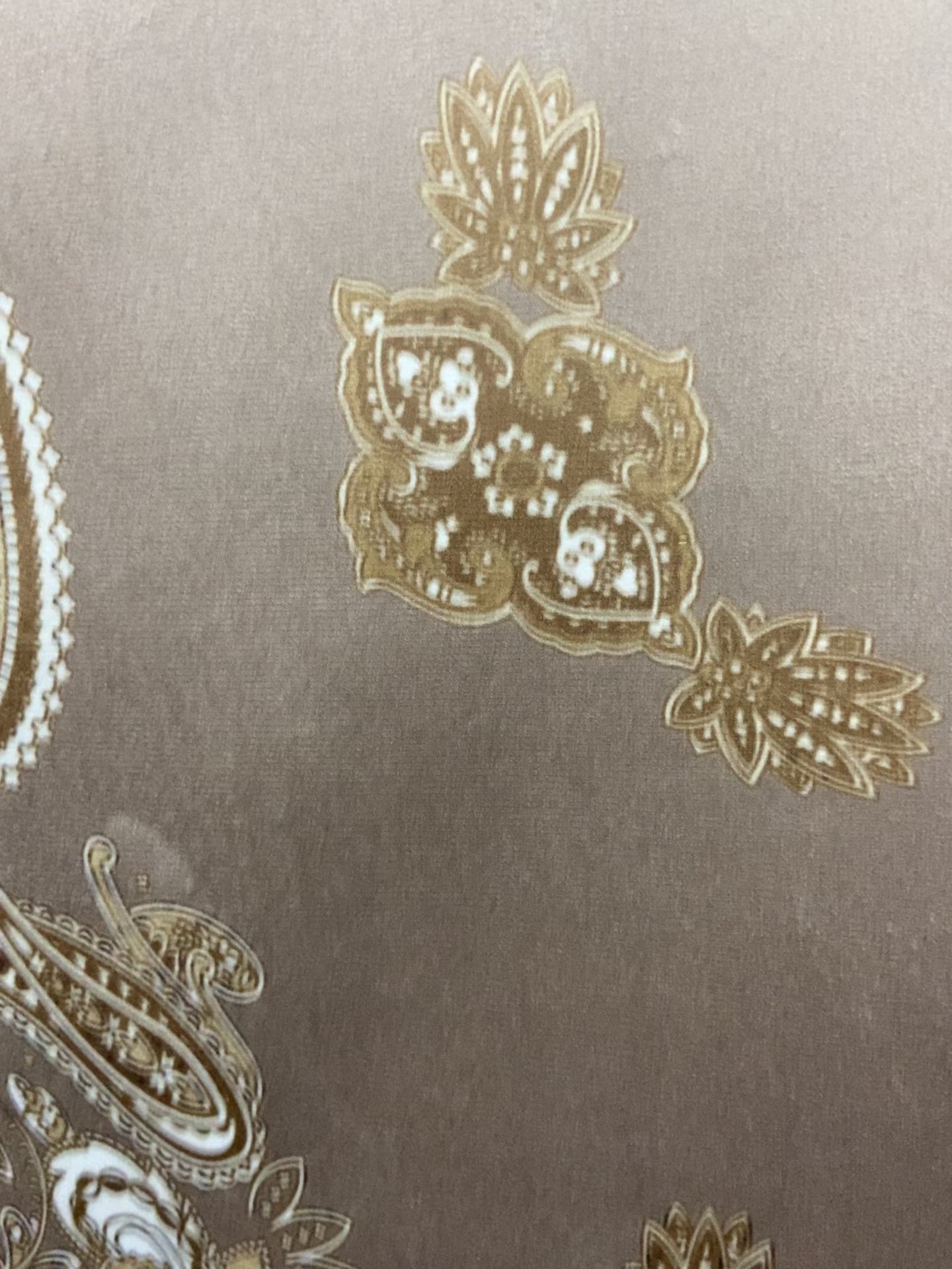 Paisley Scroll